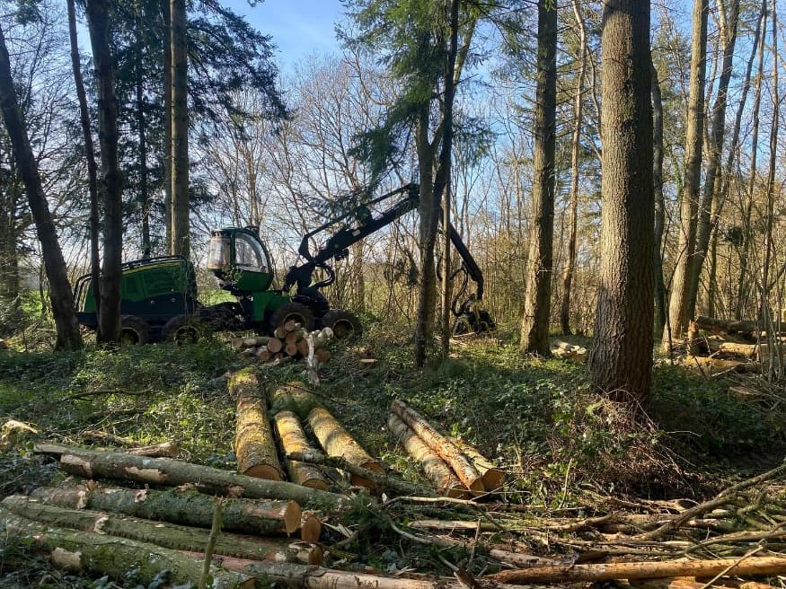 Timber Harvesting