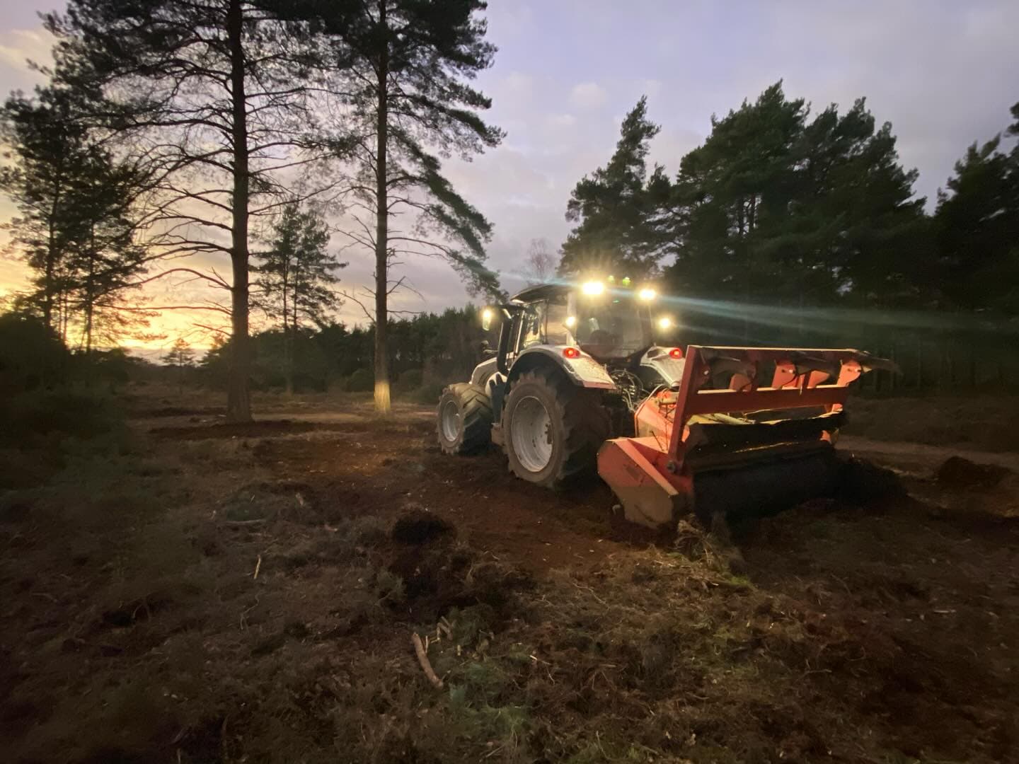 Forestry Mulching
