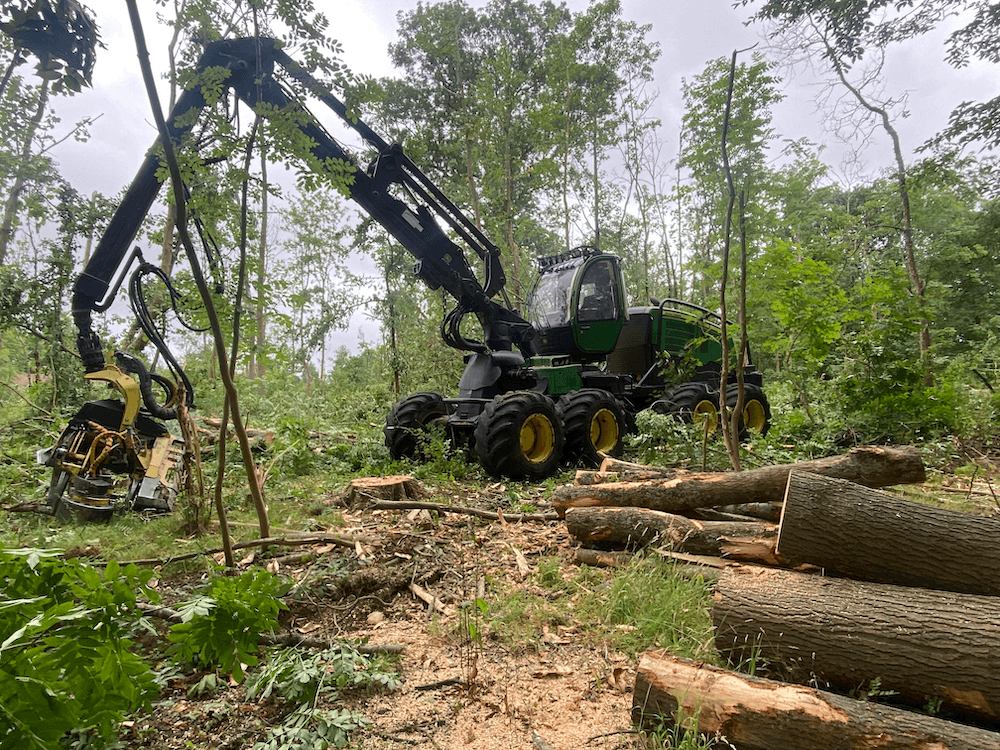 Sustainable Timber Harvesting