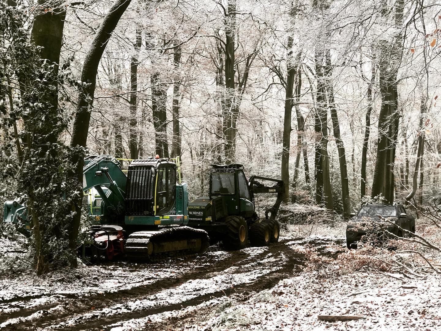 Forest news