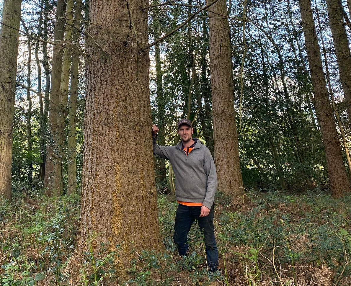 W. Jones Forestry team member beside mature standing timber
